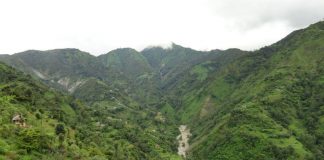 पहिरोमा घर पुरिँदा राेल्पामा ३ जनाको मृत्यु