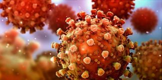 नेपालमा पनि भेटियो डेल्टा भेरियन्टमा नयाँ म्युटेसन