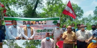 बीपी स्मृति दिवसमा बीपीको सालिकमा माल्यार्पण तथा बृक्षरोपण