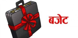 संशोधित बजेट संघीय संसदको दुवै सदनबाट पारित