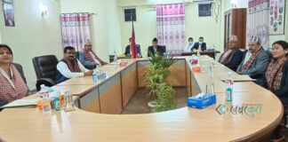 लुम्बिनी प्रदेश पूर्वाधार विकास प्राधिकरणको कार्यकारी प्रमुखमा घिमीरे र प्रदेश प्रशिक्षण निर्देशकमा जोशी नियुक्त