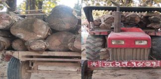 रुपन्देहीको मायादेविबाट अबैध काठसहित एक ट्याक्टर बरामद