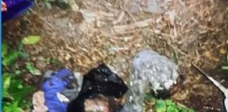 झोलाभित्र मानिसको टाउको र खुट्टा फेला