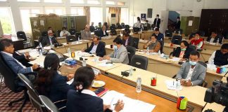 सार्वजनिक लेखा समितिको प्रतिवेदन पारित