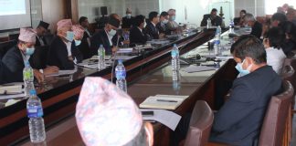 सिटिइभिटी र सामुदायिक विद्यालयको पाठ्यक्रम एउटै बनाउने तयारी