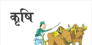 आजदेखि देशभर कृषि गणना सुरु