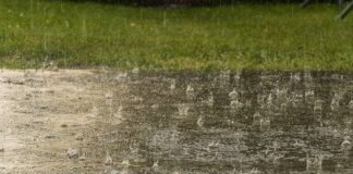 आज यी ६ प्रदेशमा वर्षाको सम्भावना