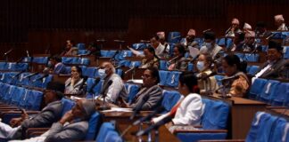 सम्भाव्य सबै उपाय अपनाएर भएपनि किसानलाई मल उपलब्ध गराउन सरकारलाई संसदको निर्देशन