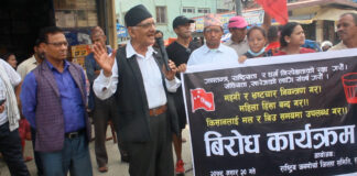 उद्योग, कलकारखान खोल्नुको सट्टा देशमा सांसद र मन्त्रीको उद्योग खोलीयो : चित्रबहादुर