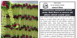 प्लाष्टिकजन्य फूलमालाको खरिद बिक्री गरे एक लाख रुपैयाँसम्म जरिवाना हुने