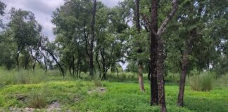 स्थानीयकाे जग्गा छाडेर औधोगिक क्षेत्र बन्ने भएपछि माेतिपुरवासी खुसी, गृहमन्त्रीलाई साथ दिने प्रतिवद्वता