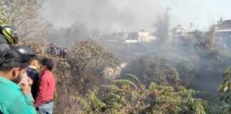 पाेखरा विमान दुर्घटना : भारतीयसहित १५ जना विदेशी यात्रु