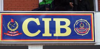 नक्कली लाइसेन्स प्रकरण : थप दुई जना पक्राउ