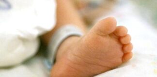 घाँस काट्ने क्रममा भीरबाट लडेर एक महिलाको मृत्यु