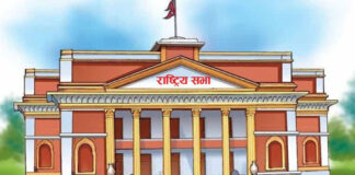 समाजवाद उन्मुख अर्थतन्त्र विकासका लागि जरुरी सार्वजनिक महत्वको प्रस्ताव दर्ता