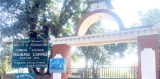 पक्लिहवा कृषि क्याम्पसमा नेविसंघ र अनेरास्ववियुकाे संयुक्त प्यानल विजयी