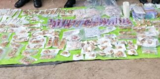 तीन लाख रुपैयाँ बराबरका नक्कली सुनका गहना बरामद