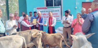 साइनो बचत तथा ऋण सहकारीद्धारा गाई बस्तुहरुलाई दाना बितरण