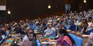 आर्थिक वर्ष २०८०÷०८१ को बजेट प्रतिनिधिसभाबाट पारित, पक्षमा १४७ र विपक्षमा १०८ मत