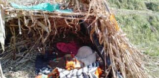 जाजरकोटका केही भूकम्प प्रभावितले अझै त्रिपाल नपाएको गुनासो