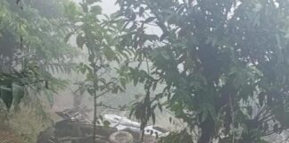 तनहुँ जिप दुर्घटना अपडेट : दुई जनाको मृत्यु