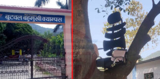 बुटवल बहुमुखी क्याम्पस प्रमुखको कुर्सी रुखमा !