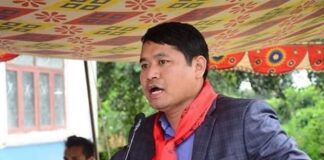 सहकारी ठगी प्रकरण : पूर्वउपराष्ट्रपतिका छोरा दिपेशलाई ८ दिन हिरासतमा राख्न अनुमति