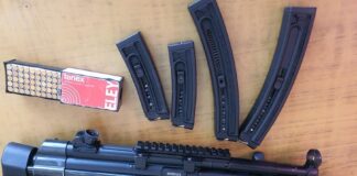 दुर्गा प्रसाईंलाई हतियार राख्न अनुमति दिनेलाई कारबाही गर्न सिफारिस