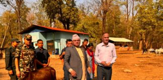 छाडा चौपाया व्यवस्थापनमा प्रदेशले चासो दिन्छ : मुख्यमन्त्री महरा