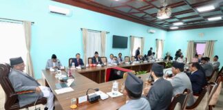 लाइसेन्स भएपनि हतियार लिएर हिड्न रोक लगाउने मन्त्रिपरिषद्को निर्णय