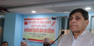 गाडी र साडी मात्रै बेचेर मुलुक बन्दैन : घनश्याम भुसाल