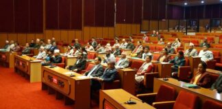 मिडिया काउन्सिल विधेयक राष्ट्रिय सभामा प्रस्तुत