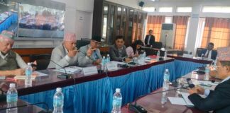 लेखा समितिद्वारा सरकारी जग्गा दुरुपयोग रोक्न र कब्जा गर्नेलाई कारबाही गर्न सरकारलाई निर्देशन