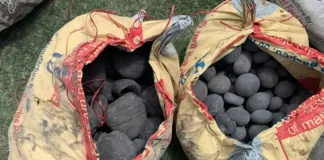 मुस्ताङबाट १५ बोरा शालिग्राम बरामद