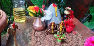 आज हरिशयनी एकादशी व्रत : घर घरमा तुलसी रोपेर मनाइदै