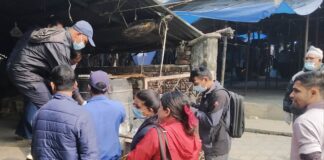 बुटवलमा डेङ्गी खाेज र नष्ट गर अभियान जारी