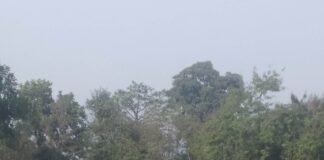 मेयर कप अन्तर विद्यालय फुटबल : सेमिफाइनल समिकरण पुरा,शनिबार उपाधि भिडन्त
