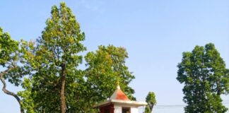 विश्व शान्तिकाे कामना गर्दै पाल्पाको पुरानो सिद्वबाबा मन्दिरमा ४८ मानाकाे राेटसहित बिशेष पुँजापाठकाे तयारी