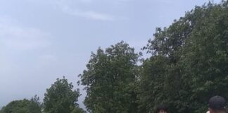 पाल्पाको रिमिघा लेकमा यार्सागुम्बा जस्तै देखिने वनस्पति फेला, सुरक्षाकर्मीलाई बन जोगाउनै मुस्किल