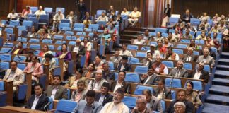 आर्थिक बर्ष २०८२/०८३ काे बजेट प्रतिनिधिसभाबाट पारित