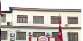 नवज्योति ट्रेडर्सका प्रोप्राइटर यादवसमेत ४ जनाविरुद्ध राजस्व छली कसुरमा मुद्दा
