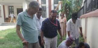 बुटवल-८ काे वडा कार्यालय परिसरमा बृक्षाराेपण