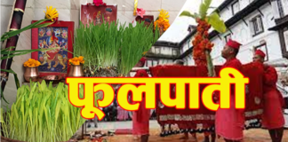 दशैंको साताैं दिन आज फूलपाती भित्राइँदै