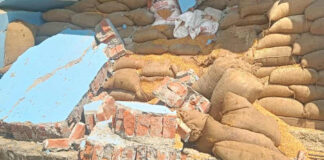 दाना उद्योगको पर्खाल भत्किँदा ३ मजदुरको मृत्यु,२ जना घाइते