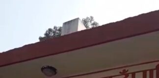 रूपन्देहीको सुद्वाेदन गाउँपालिका वडा नं १ काे कार्यालयमा तालाबन्दी