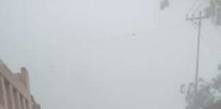 सडक चिप्लो भएका कारण बुटवल-नारायणगढ सडकको दाउन्ने खण्ड पूर्णरुपमा अवरुद्ध, वैकल्पिक मार्ग प्रयोग गर्न आग्रह