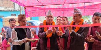 कांग्रेस नेतृत्वको सरकारले मात्रै मुलुकलाई निकास दिन सक्छ : कांग्रेस नेताहरू