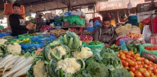 काठमाडौंमा डल्ले च्याउको मूल्य किलोको ४६६, सिताके च्याउको ९००,अन्य तरकारीको कति ?