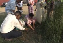 विश्व वातावरण दिवसको अवसरमा मेडिकल कलेज परिसरमा बृक्षाराेपण