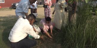 विश्व वातावरण दिवसको अवसरमा मेडिकल कलेज परिसरमा बृक्षाराेपण